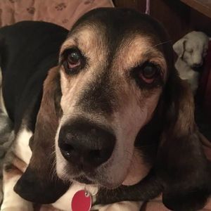 Meet your Posher, Lori